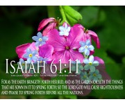 For Bible Verses On Love Galatians 522 Colorful Flower Wallpaper