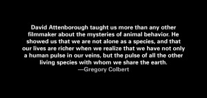 Already have an account? Log in now