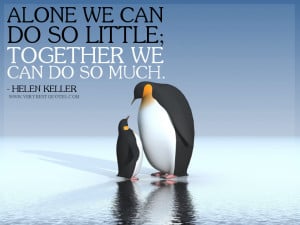 Teamwork quotes: Alone we can do so little