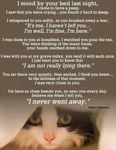 Rainbow bridge poem this shows the love we all have for our four ...