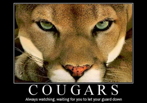 Funny Cougar Picture