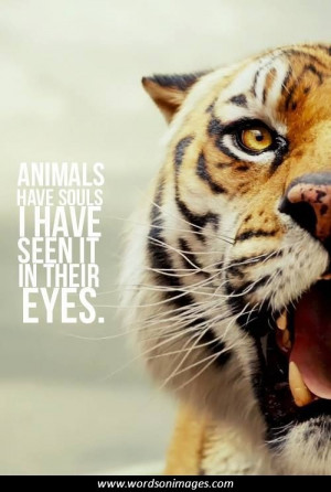 quotes from life of pi important religious quotes from life of pi