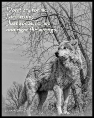 ... Just Speak For Me And Right the Wrong. ---Pro Wolf North West Photo