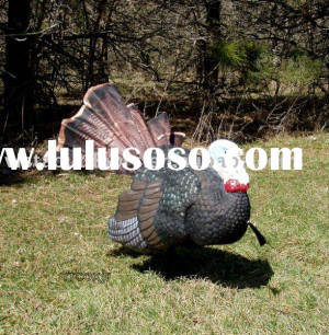 Blind Turkey Decoys Hunting