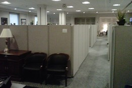 ... > US Domestic Politics > House Losers Get Cubicles in the Basement