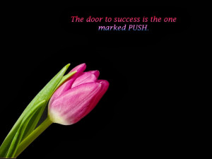 The Door To Success Is The One Marked Push.