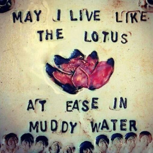 Lotus flowers will grow anywhere