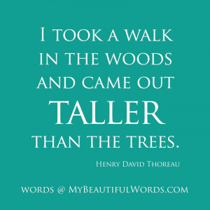 Into the Woods Quotes Image Gallery Detail