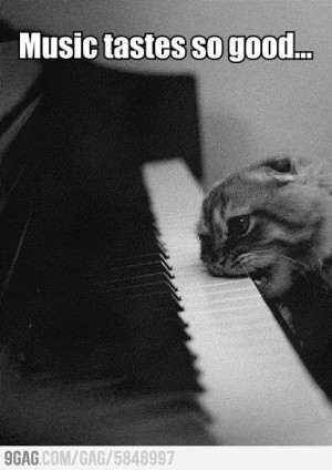 weheartit #cute #cat #animal quotes #sayings #music