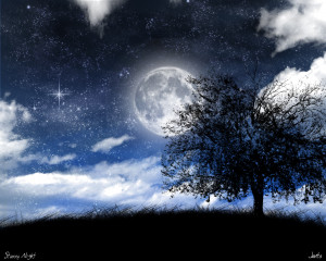 Beautiful dreams of a starry sky .