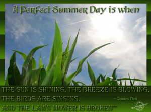 ... Quotes About Summer: Summer Quotes And The Picture Of The Green Grass