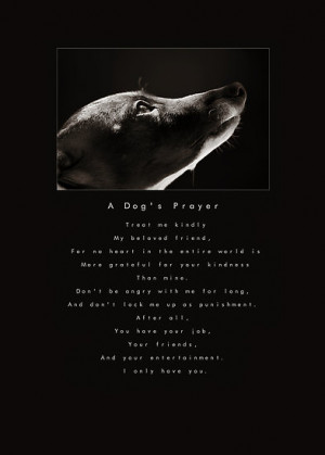AngelaRath › Portfolio › A Dog's Prayer