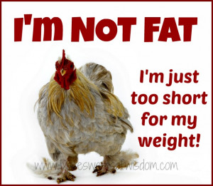 not fat - I'm just too short for my weight.