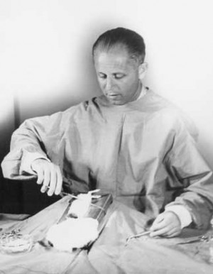 Hans Selye op rant un rongeur