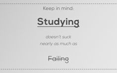 Motivation Quote : Study Doesn't Suck Nearly as Much as Failing More