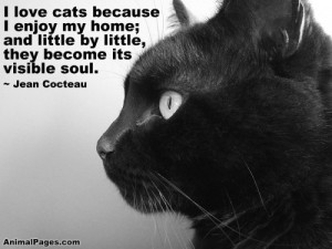 love cats because I enjoy my home; and little by little, they become ...
