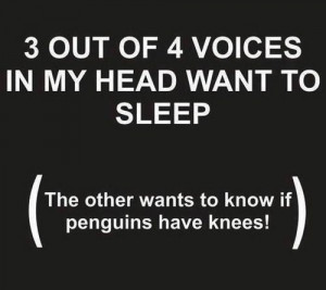 out of 4 voices in my head want to sleep. The other...