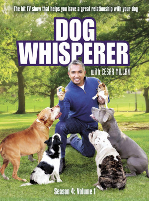 dog whisperer with cesar millan dvd cover