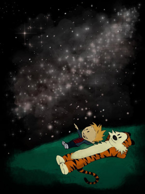 Calvin and Hobbes Star Gazing Buddies by Pro-Shower-Singer