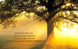 Spiritual life is like a tree...