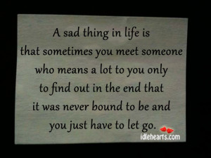 in life is that sometimes you meet someone who means a lot to you ...