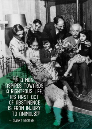 21 Great Quotes about Pets — After reading these quotes you will ...