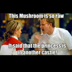 Gordon Ramsay humor = #funny: This Is Awesome, Giggl, Funny Stuff ...