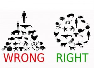 WRONG VS. RIGHT - THE WAY IT IS AND THE WAY IT SHOULD BE