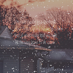 Winter Wonderland (Ariel Maczinski) Tags: christmas trees sunset snow ...