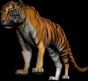 Related Pictures body parts in spanish for kids