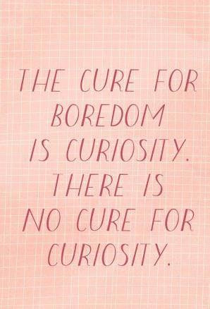 The Cure For Boredom Is No Cure For Curiosity - Apology Quote