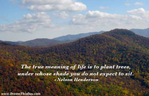 The true meaning of life is to plant trees ,