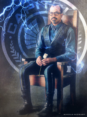 The Hunger Games Catching Fire nickart Capitol Couture beetee