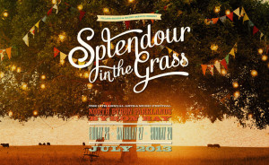 Splendour in the Grass, North Byron Parklands, July 2013