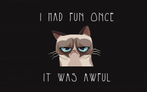 Funny Grumpy Cat Quotes HD Wallpaper #692