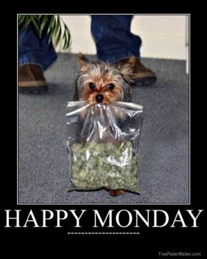 Happy Monday or freeday!!!!!