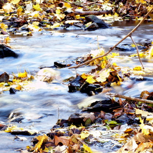 ... stream in fall symbolizing the challenges that nature brings and that