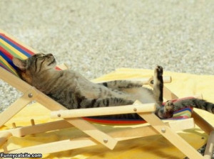 Sun Tanning Funny Pictures