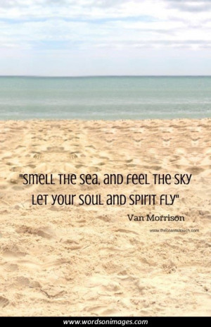 added by picture quotes posted under more quotes report image