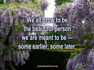 life quotes and sayings