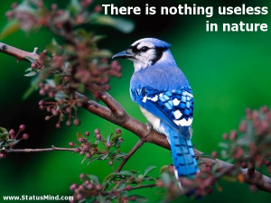 There is nothing useless in nature - Quotes and Sayings - StatusMind ...
