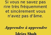 Idries Shah International Quotes / by The Idries Shah Foundation