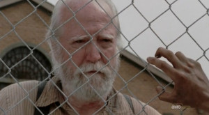 FOTOS DE HERSHEL GREENE: