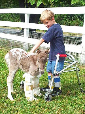 Lean on me: Judd the miniature horse and Tyler Cribbs find friendship ...