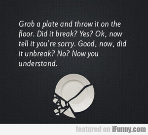 Grab A Plate And Throw It On The Floor...