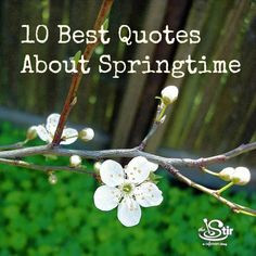 10 Best Quotes About Springtime