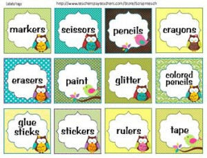 Labels or tags (Owl theme) classroom decoration