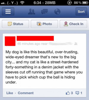 ... friend’s apt description of the differences between his dog and cat