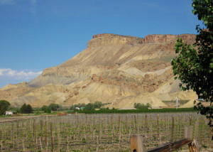 Colorado Wine Country Bike & Hike