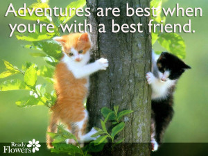 Adventures are best when you’re with a best friend.